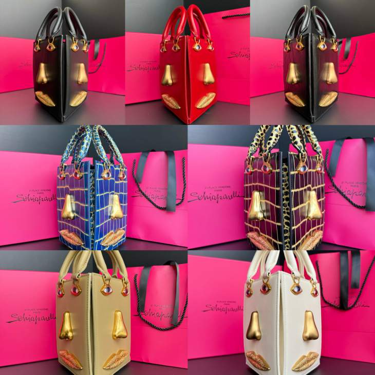 Picture of Schiaparelli Handbags _SKUfw236180913fw